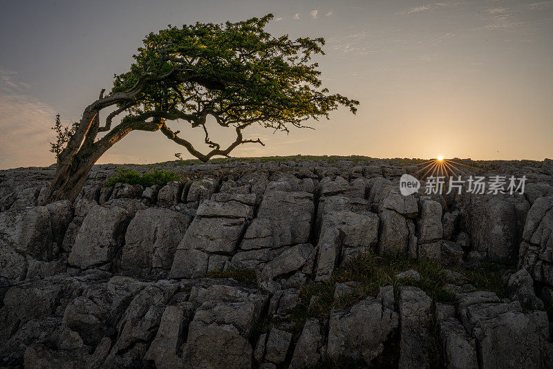 英国，英格兰，约克郡山谷，Twistleton Scars